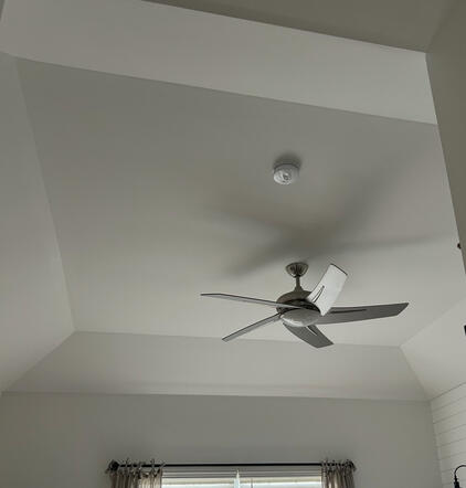 ceiling before