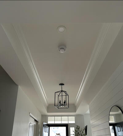 Ceiling before